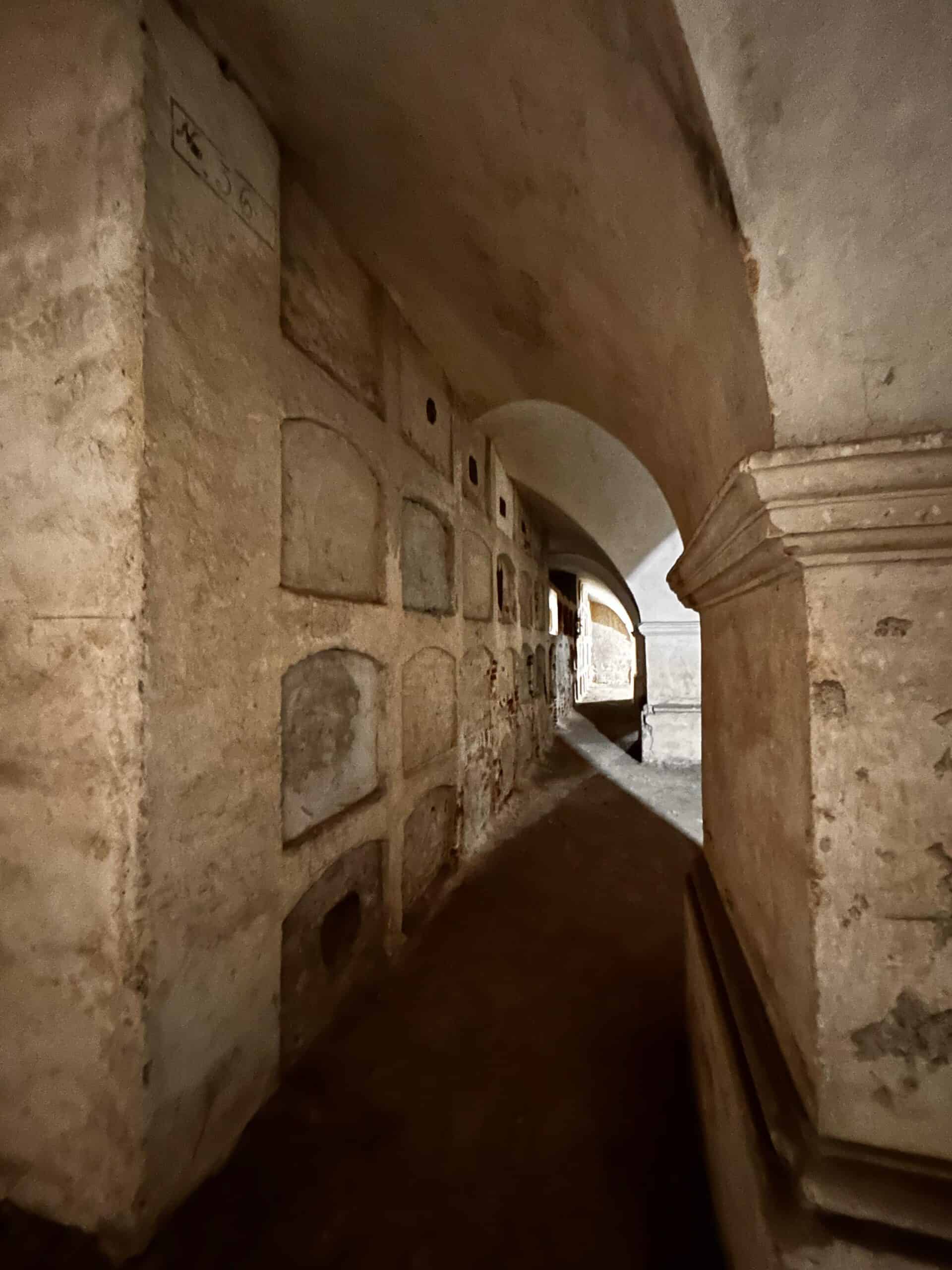 s-au redeschis catacombele de la biserica ursulinelor. elevi ai fostului colegiu pedagogic emoționați după ce și-au revăzut școala după mai multe decenii (foto, video)