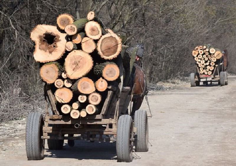 câți metri cubi de pădure s-au tăiat ilegal în 2023 în județul sibiu