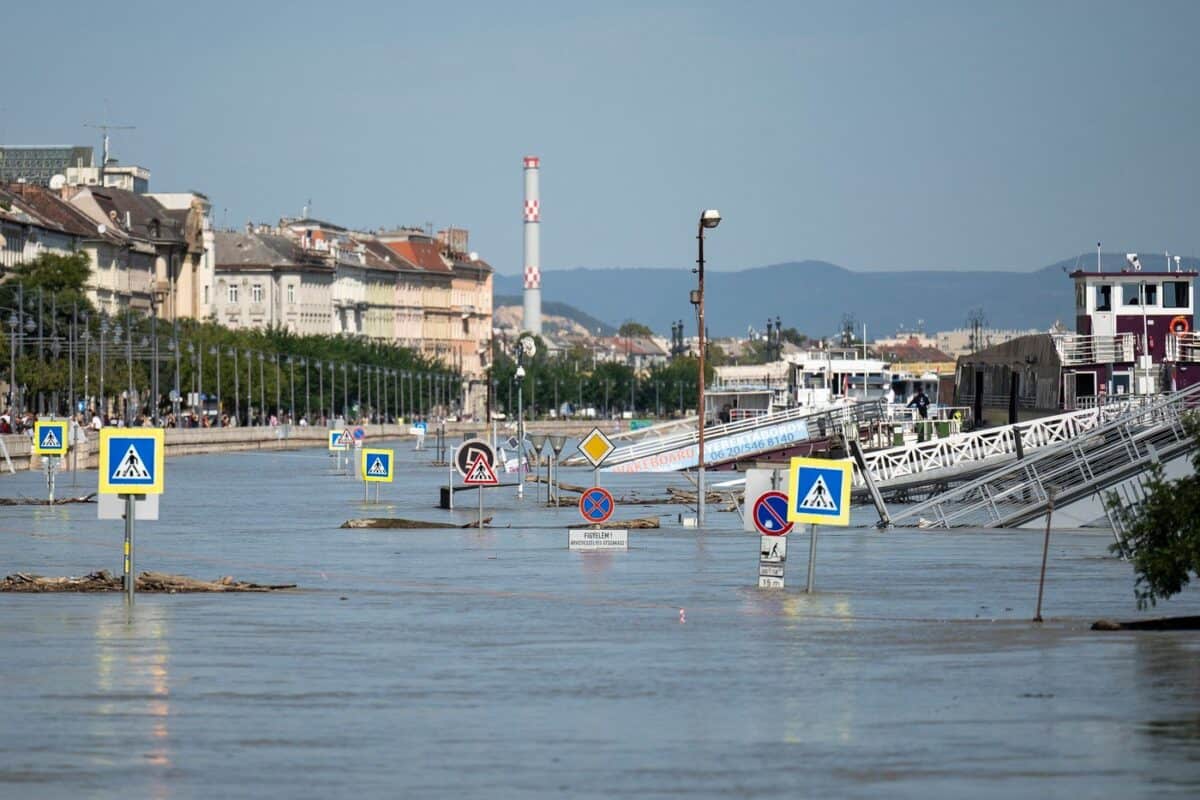 nivelul dunării crește de la o zi la alta. risc de inundații în unele zone