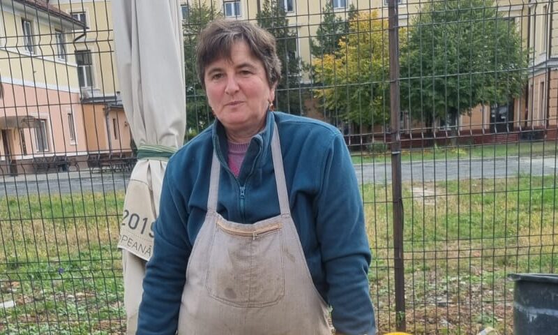 taraba la care găsești legume “made în rășinari” la sibiu. ana blezu le cultivă doar cu îngrășăminte organice (foto)