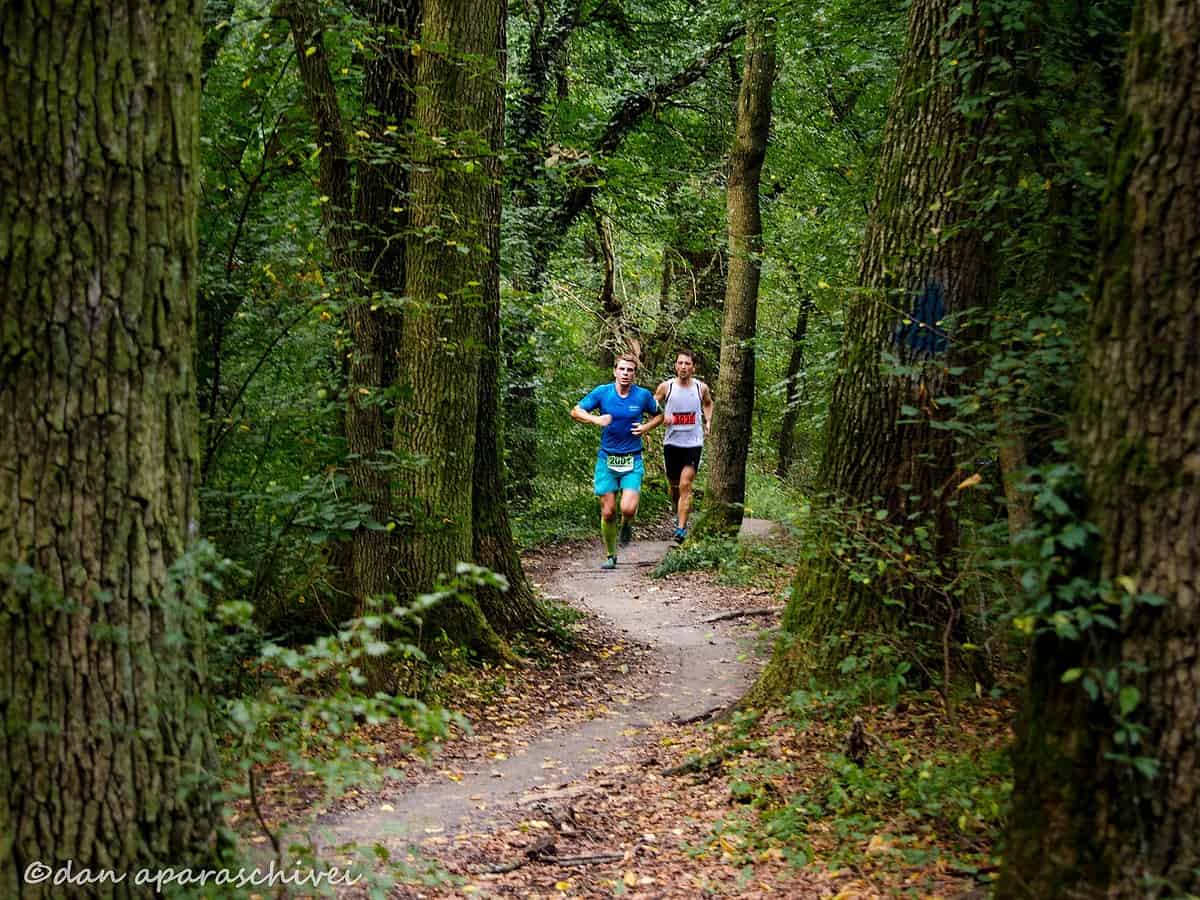 sute de alergători s-au înscris la gușterița trail run. accesul auto restricționat în ziua evenimentului