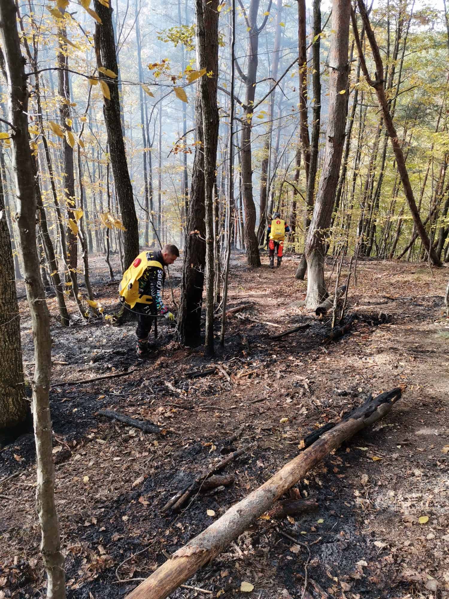 incendiu în pădure la gura râului. oamenii cer să se intervină cu elicopterul (video, foto)