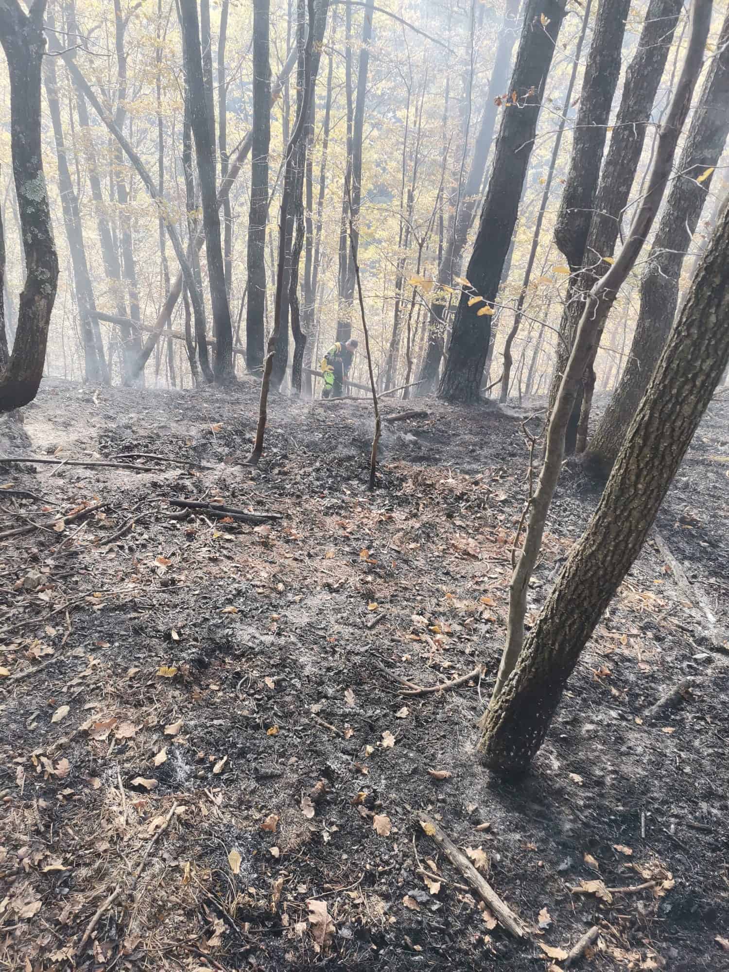 incendiu în pădure la gura râului. oamenii cer să se intervină cu elicopterul (video, foto)