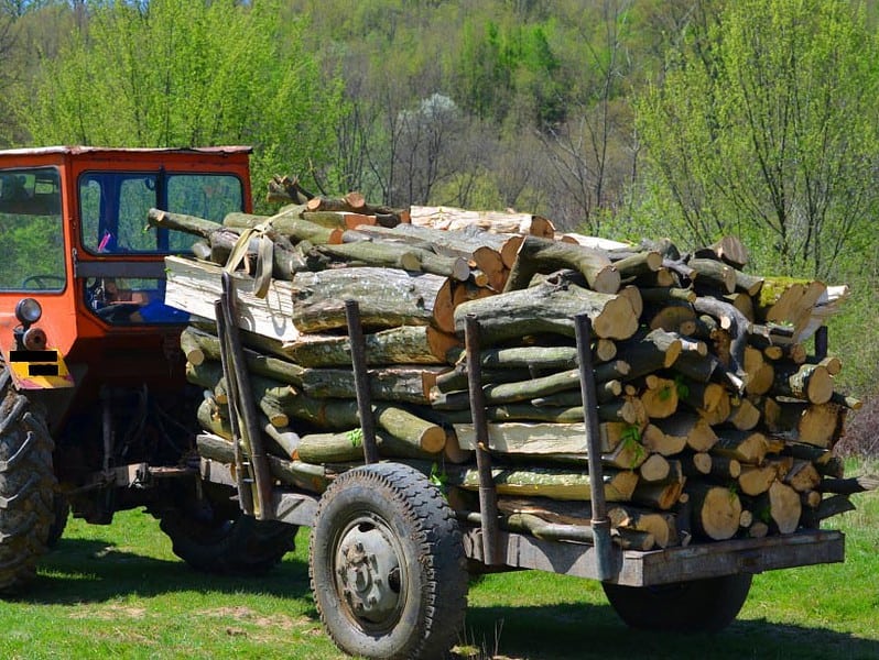 remorcă cu lemne furate din pădure, confiscată în dealul frumos. trei bărbați cercetați de poliție