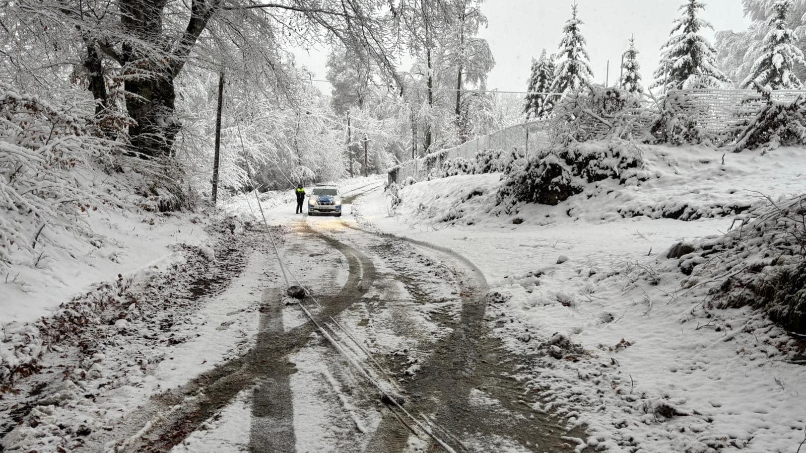 Drumuri blocate din cauza copacilor căzuți pe Valea Avrigului și la Mihăileni. Mașină ieșită în decor la Săsăuși (foto)