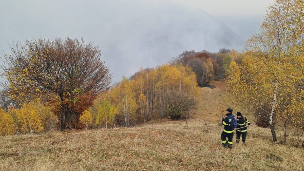 incendiul de pădure de pe valea oltului ia proporții. zeci de pompieri și voluntari luptă cu flăcările (foto)