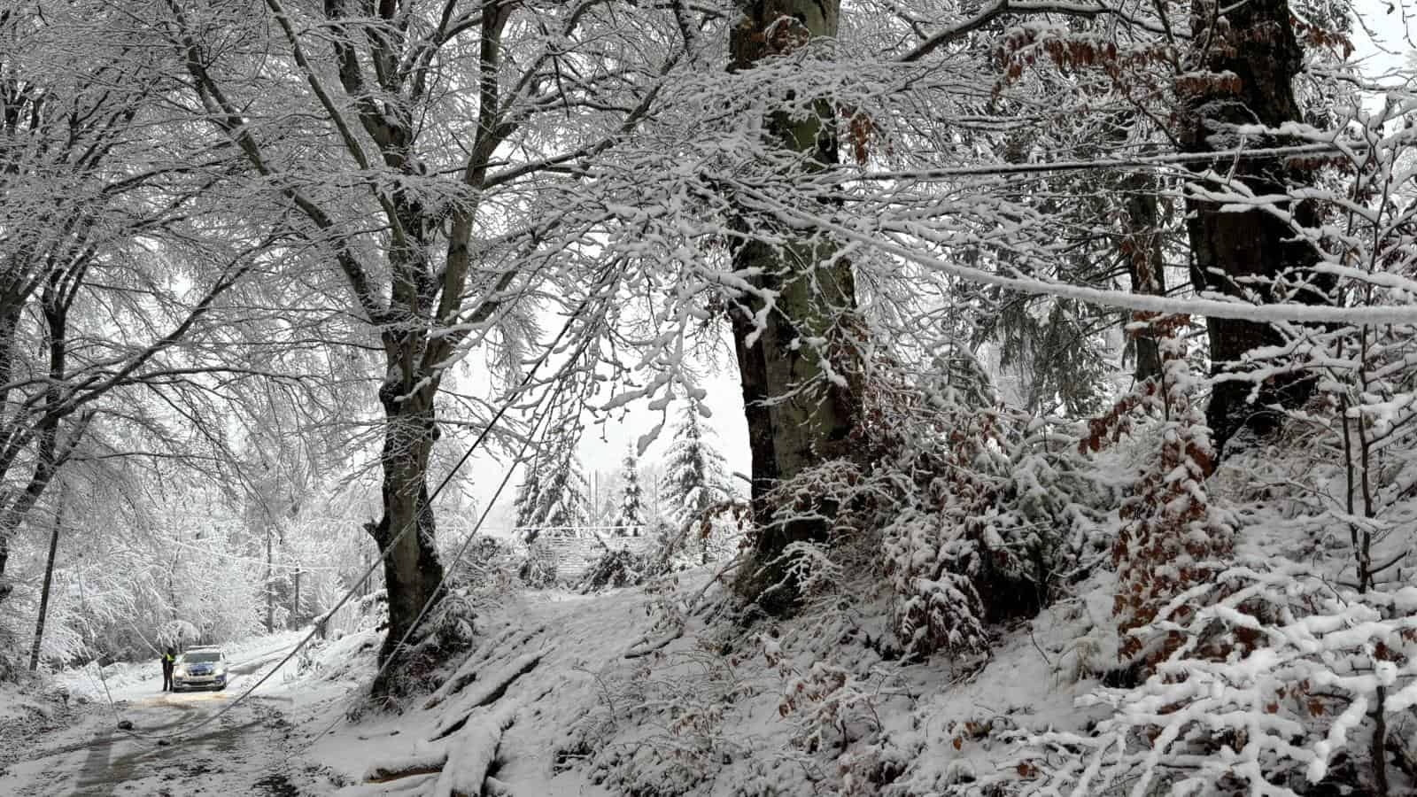 Drumuri blocate din cauza copacilor căzuți pe Valea Avrigului și la Mihăileni. Mașină ieșită în decor la Săsăuși (foto)