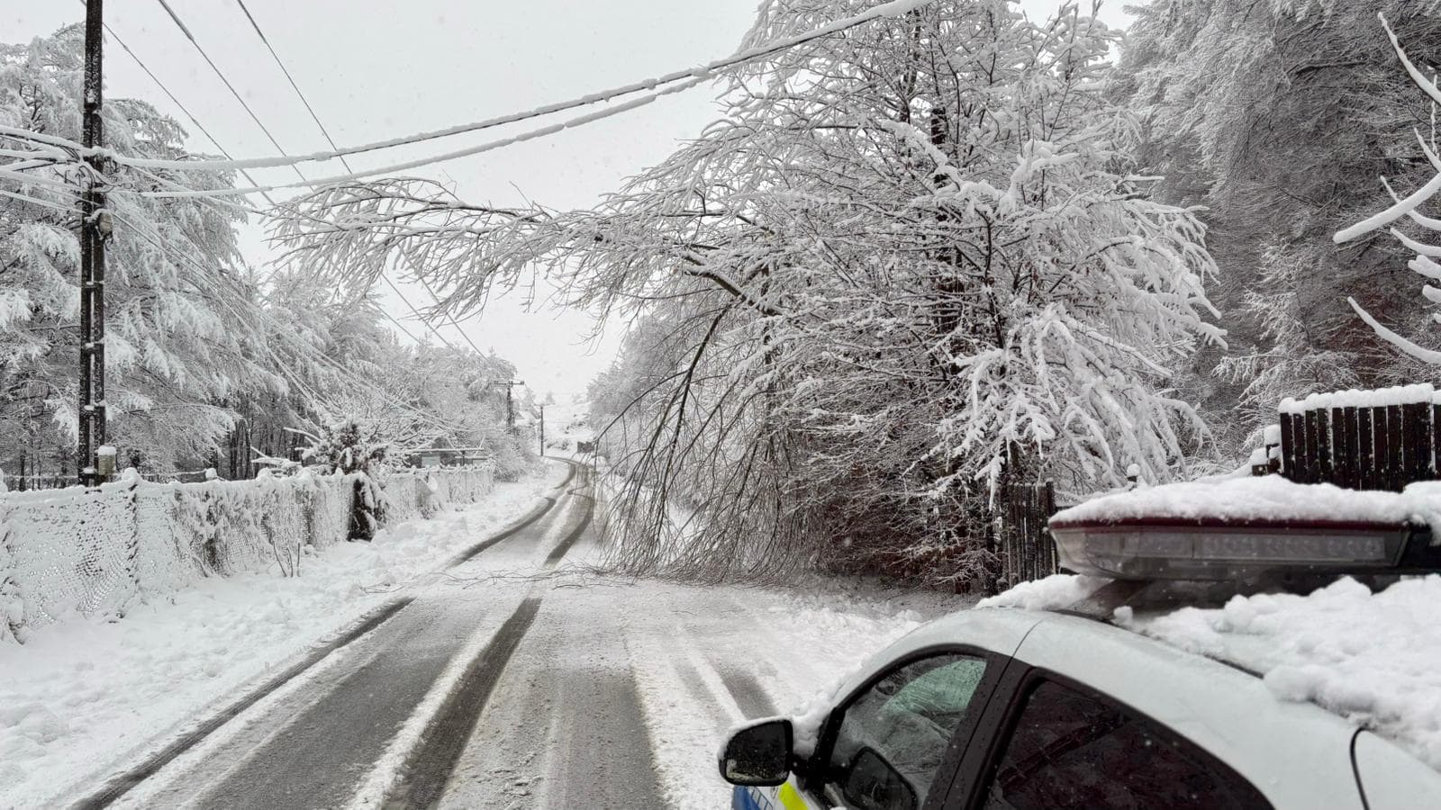 Drumuri blocate din cauza copacilor căzuți pe Valea Avrigului și la Mihăileni. Mașină ieșită în decor la Săsăuși (foto)