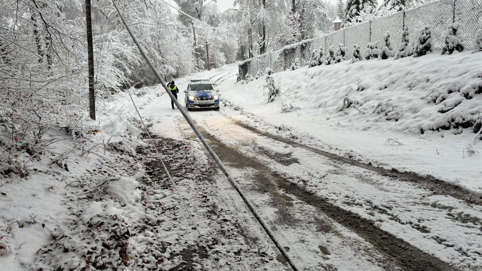 Drumuri blocate din cauza copacilor căzuți pe Valea Avrigului și la Mihăileni. Mașină ieșită în decor la Săsăuși (foto)