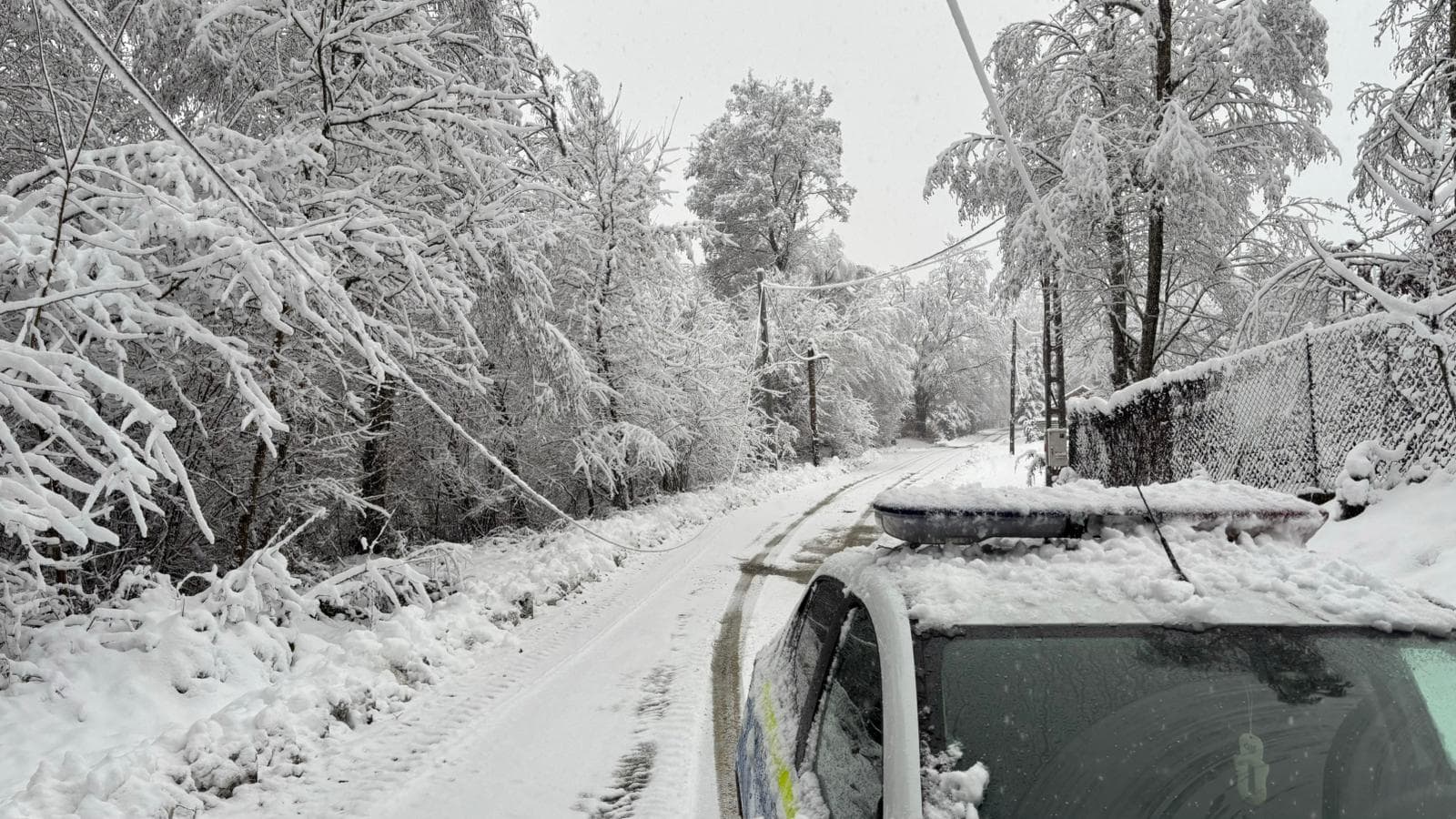 Drumuri blocate din cauza copacilor căzuți pe Valea Avrigului și la Mihăileni. Mașină ieșită în decor la Săsăuși (foto)