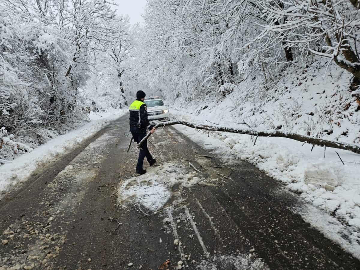 Mesaj important de la Poliția Sibiu pentru șoferi după dezastrul făcut de vânt pe autostradă și drumurile din județ