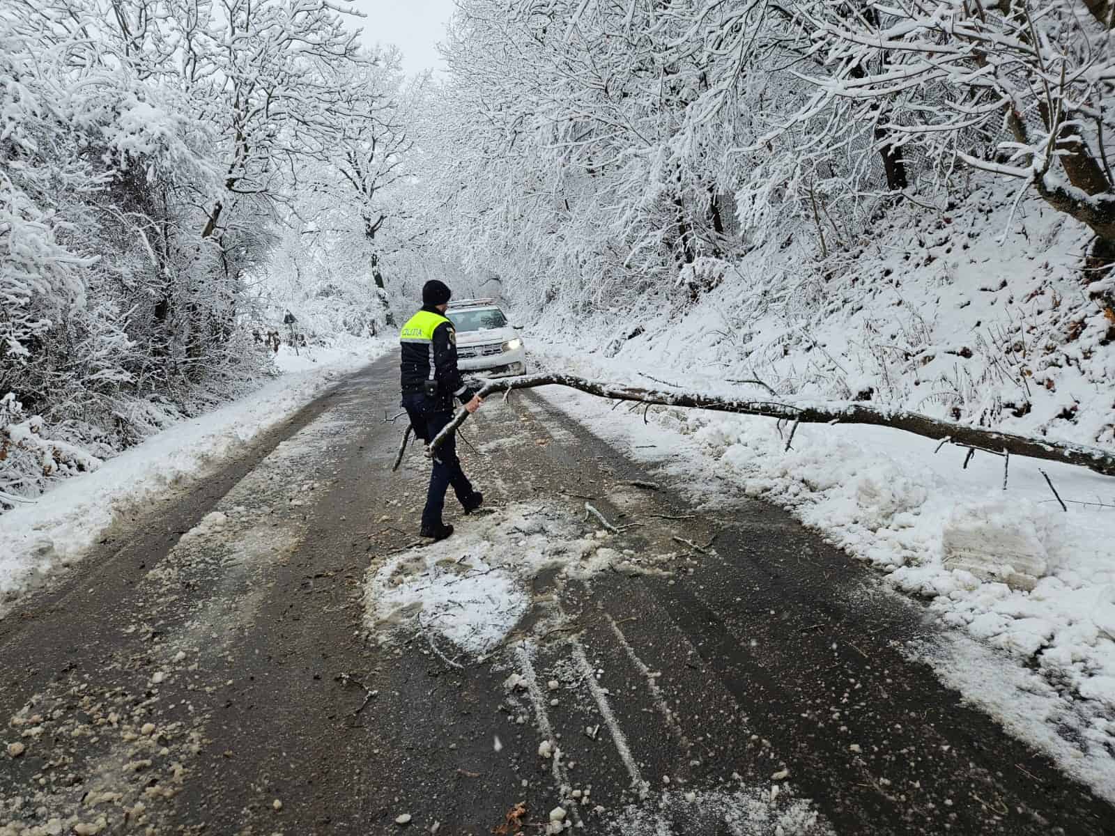 Drumuri blocate din cauza copacilor căzuți pe Valea Avrigului și la Mihăileni. Mașină ieșită în decor la Săsăuși (foto)