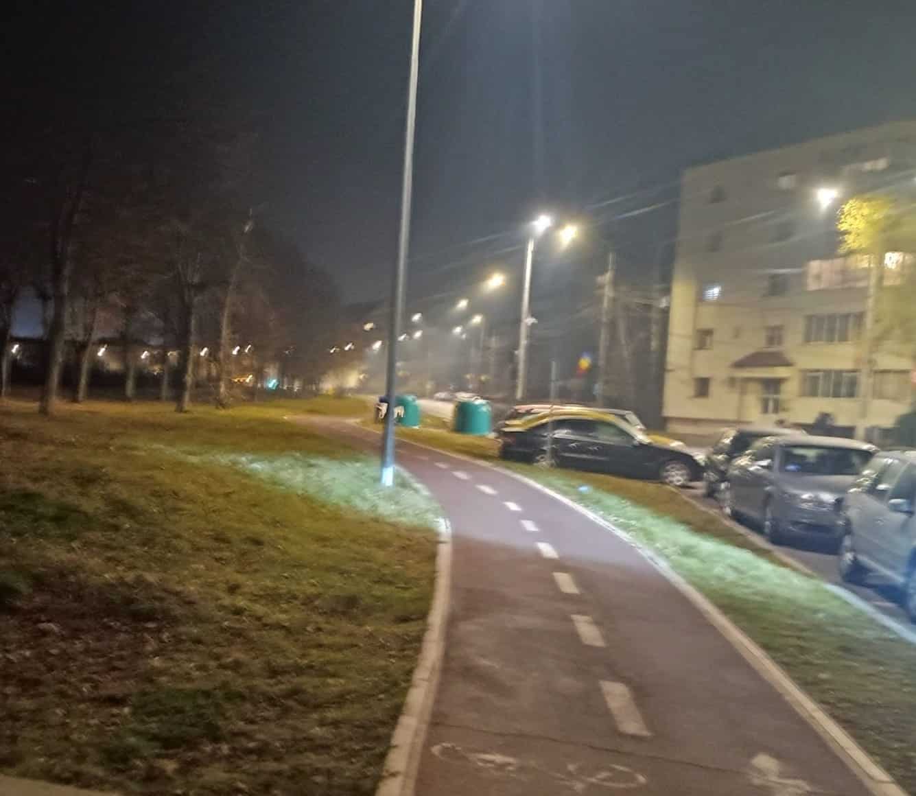 Incident grav în cartierul Ștrand. Tânără și câinele ei, atacați de un alt câine (foto)