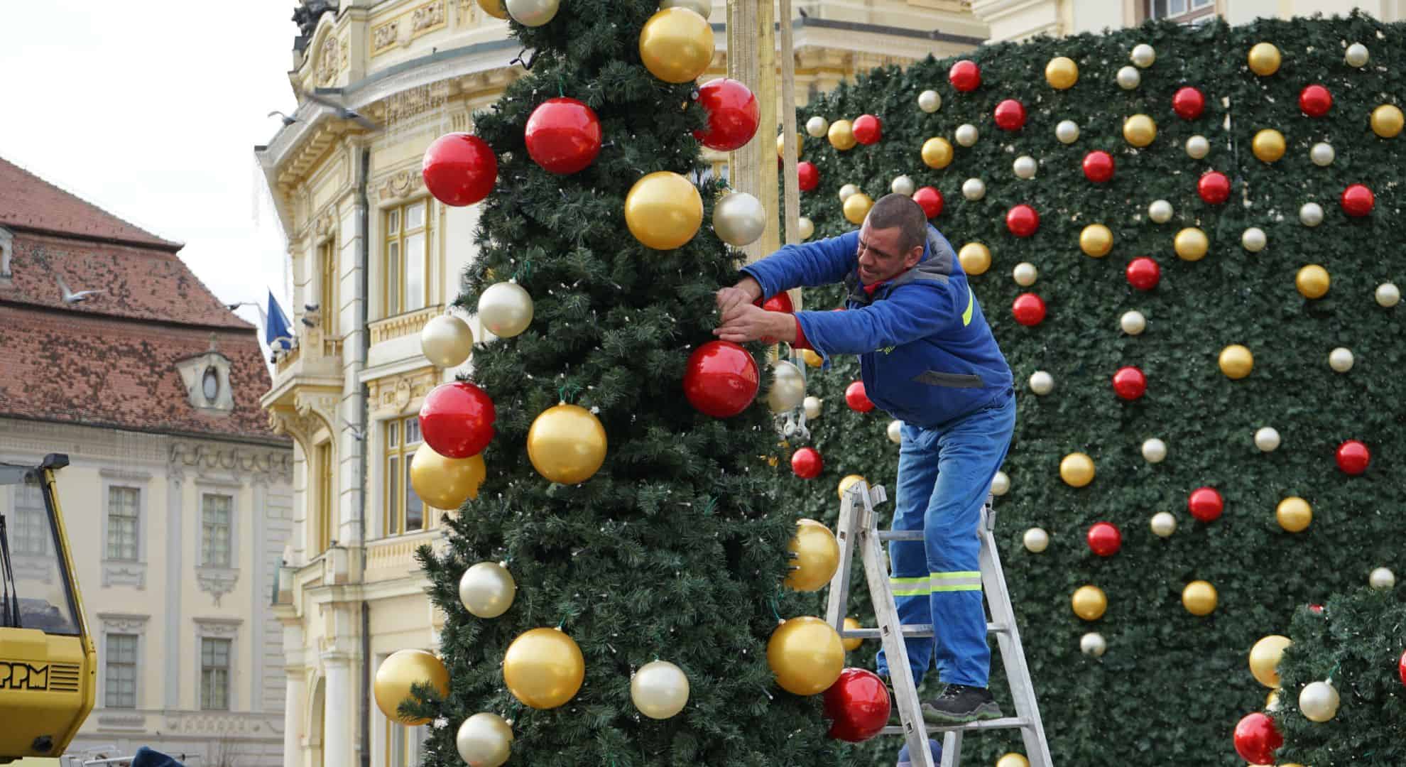 magia sărbătorilor prinde viață la sibiu. bradul din târgul de crăciun este aproape gata (video, foto)