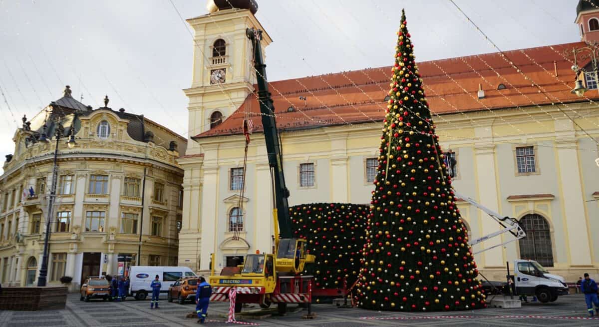 magia sărbătorilor prinde viață la sibiu. bradul din târgul de crăciun este aproape gata (video, foto)