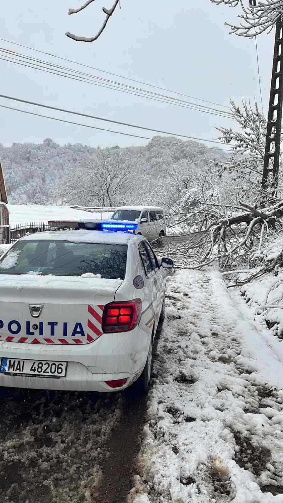 Ninge pe toate drumurile naționale și pe autostrada A1 în județul Sibiu. Aproape 340 de tone de sare împrăștiate de utilaje și copac căzut pe Transfagarasan (video)