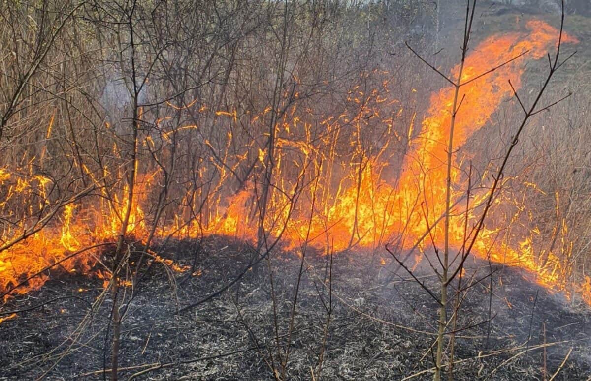 Bărbat găsit mort într-un incendiu de vegetație, în județul Vâlcea