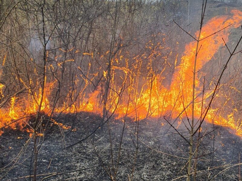 Bărbat găsit mort într-un incendiu de vegetație, în județul Vâlcea