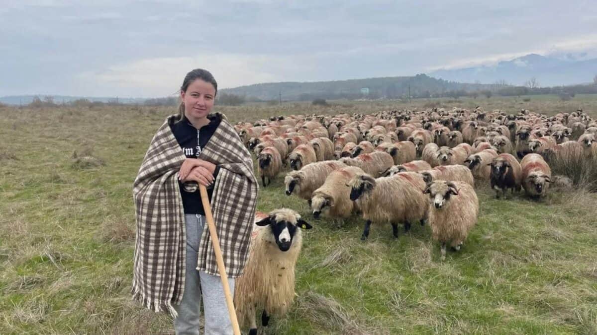 De la facultate la stână. Mihaela Lupescu, tânăra din Boița care duce mai departe tradiția oieritului (foto)