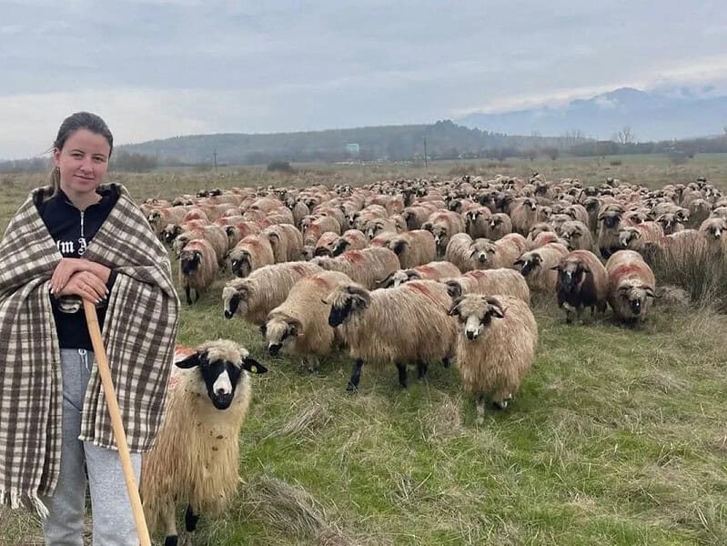 De la facultate la stână. Mihaela Lupescu, tânăra din Boița care duce mai departe tradiția oieritului (foto)