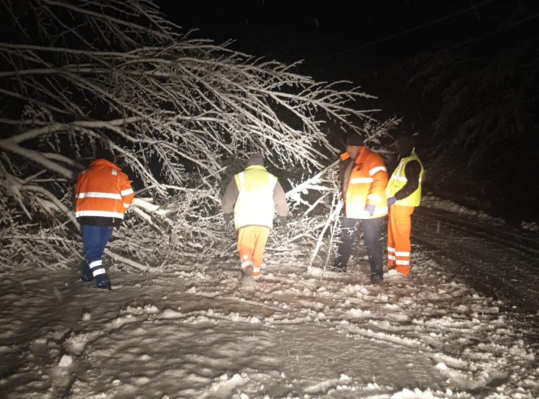 Ninge pe toate drumurile naționale și pe autostrada A1 în județul Sibiu. Aproape 340 de tone de sare împrăștiate de utilaje și copac căzut pe Transfagarasan (video)