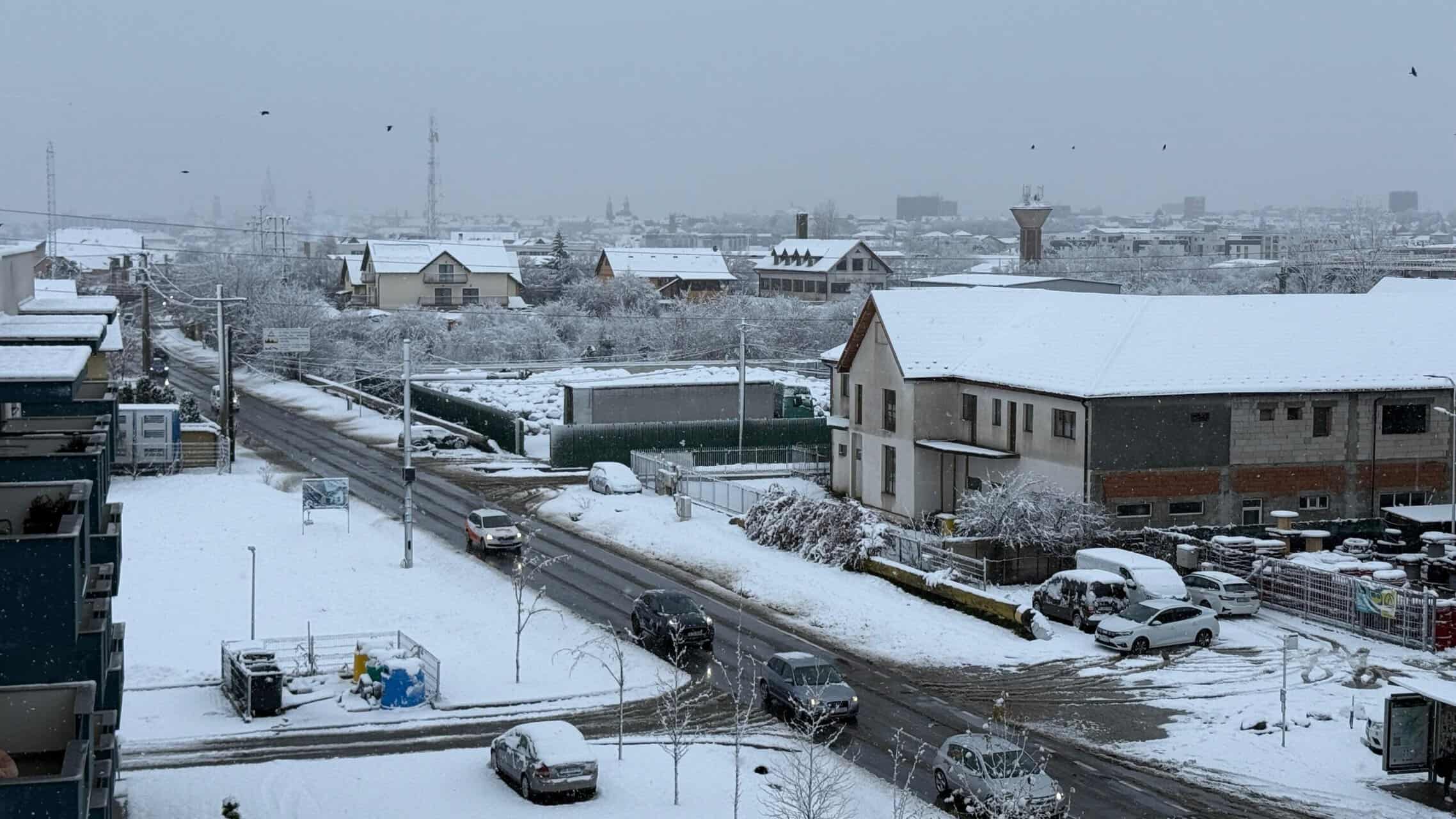 Trafic îngreunat în Sibiu din cauza ninsorilor. Pe Ștefan cel Mare a căzut un stâlp iar spre Rasinari și Cisnădioara sunt copaci căzuți pe drum (video foto)