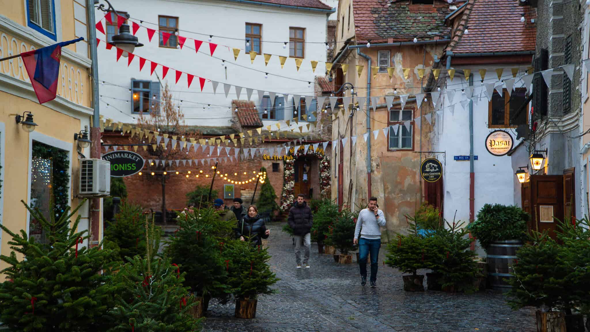 Peste 10 evenimente atractive în weekend la Sibiu. Nu ratați ”Pomana porcului” la Muzeul Astra și pe Moș Crăciun și Grinch la Mall