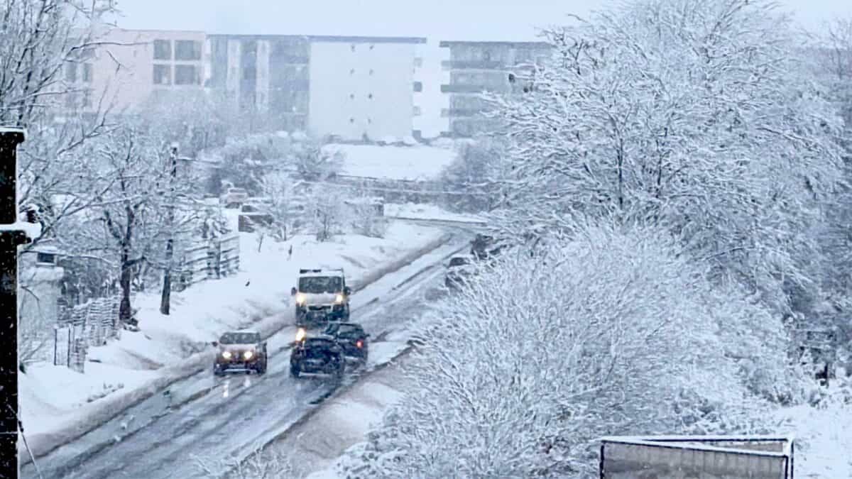 Trafic îngreunat în Sibiu din cauza ninsorilor. Pe Ștefan cel Mare a căzut un stâlp iar spre Rasinari și Cisnădioara sunt copaci căzuți pe drum (video foto)