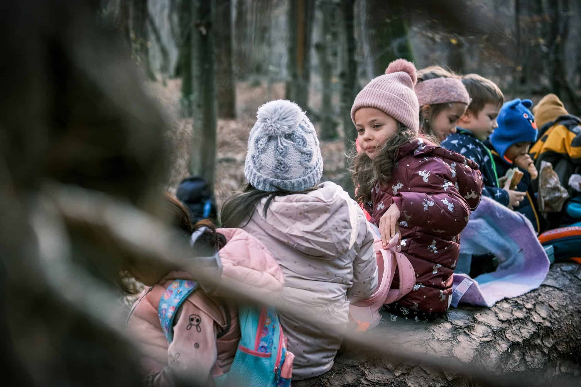 Evenimente de weekend la Sibiu. Pe listă, târg de semințe la Casa Artelor și baschet la Sala Transilvania