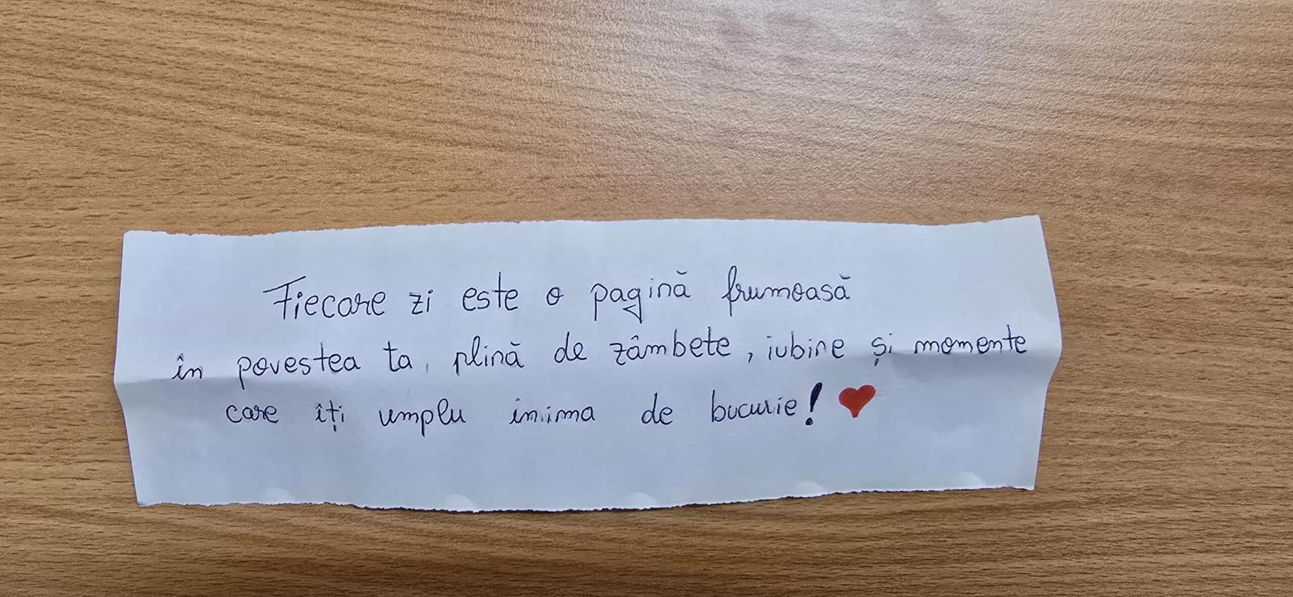 Elevii de la Liceul „Independența” Sibiu sărbătoresc Ziua Scrisului de Mână cu citate motivaţionale