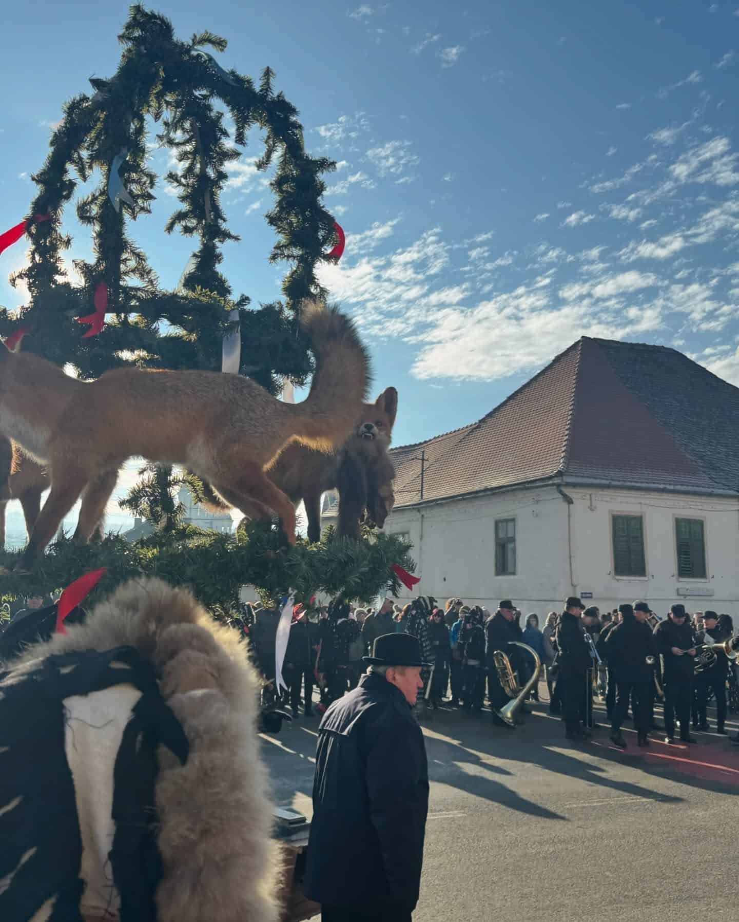 Mii de oameni prezenți duminică la cel mai spectaculos eveniment al începutului de an în județul Sibiu. Tradiția lolelor, readusă la viață la Agnita (video foto)