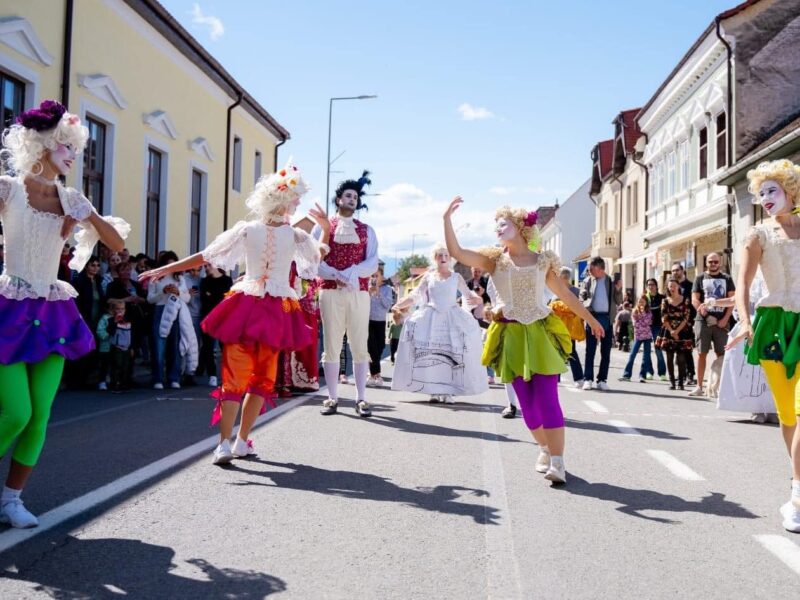 Consiliul Județean Sibiu organizează dezbateri publice pe marginea ghidurilor de finanțare a Agendelor comunității