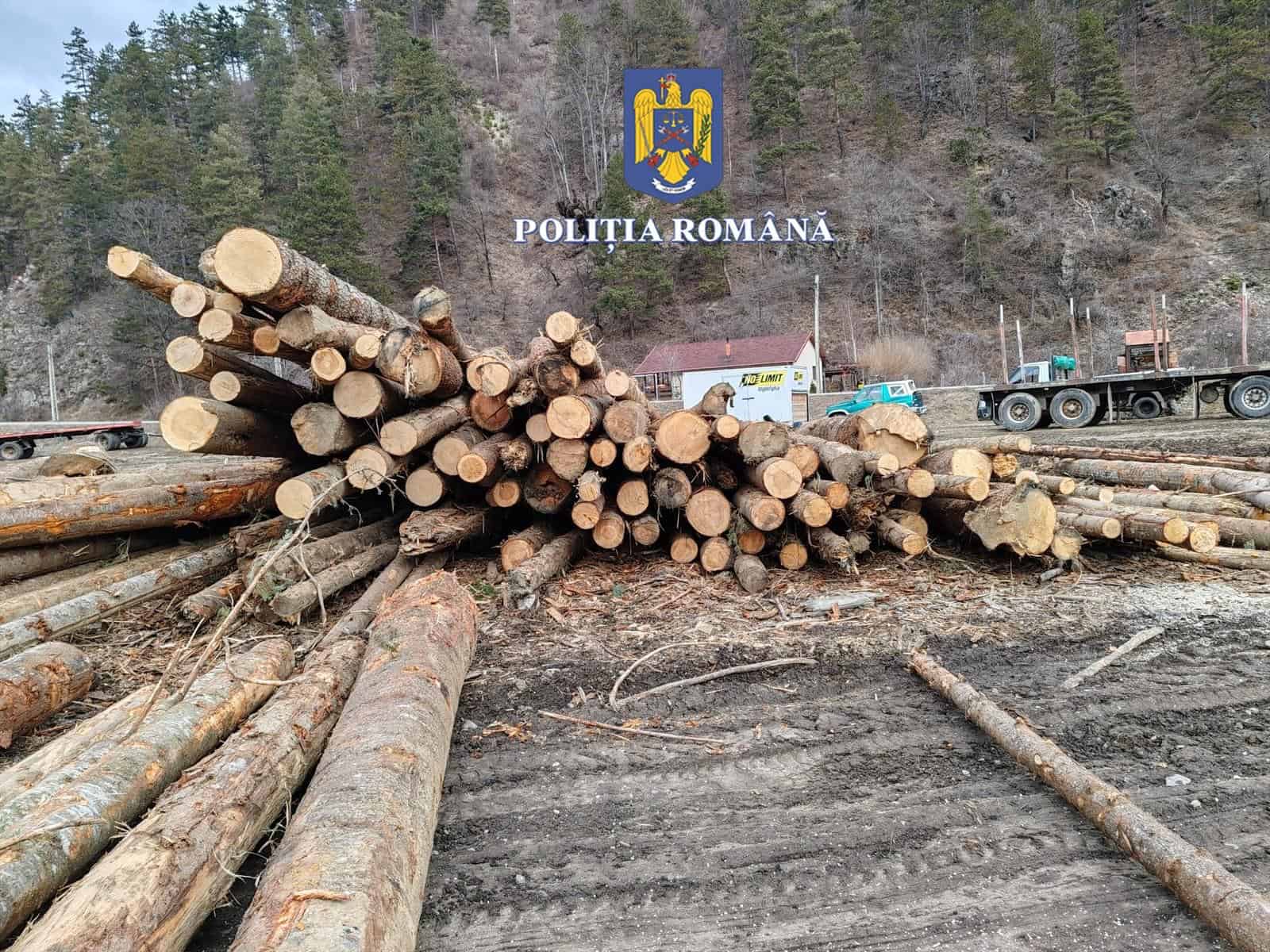 Lemne fără acte descoperite într-un depozit de pe Valea Oltului. Autoritățile le-au confiscat (foto)