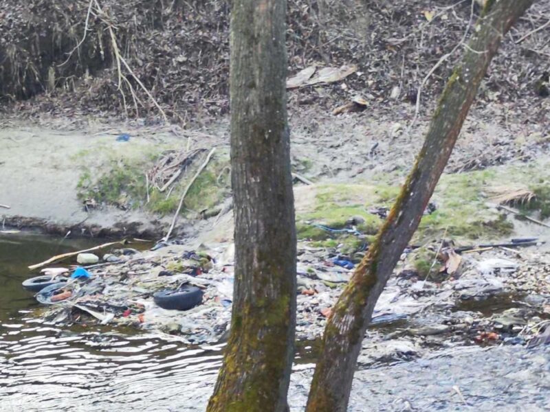 Poluare pe Cibin, la Sibiu. Zona în care râul s-a transformat într-o groapă de gunoi. Martor: ”E groaznic” (foto)