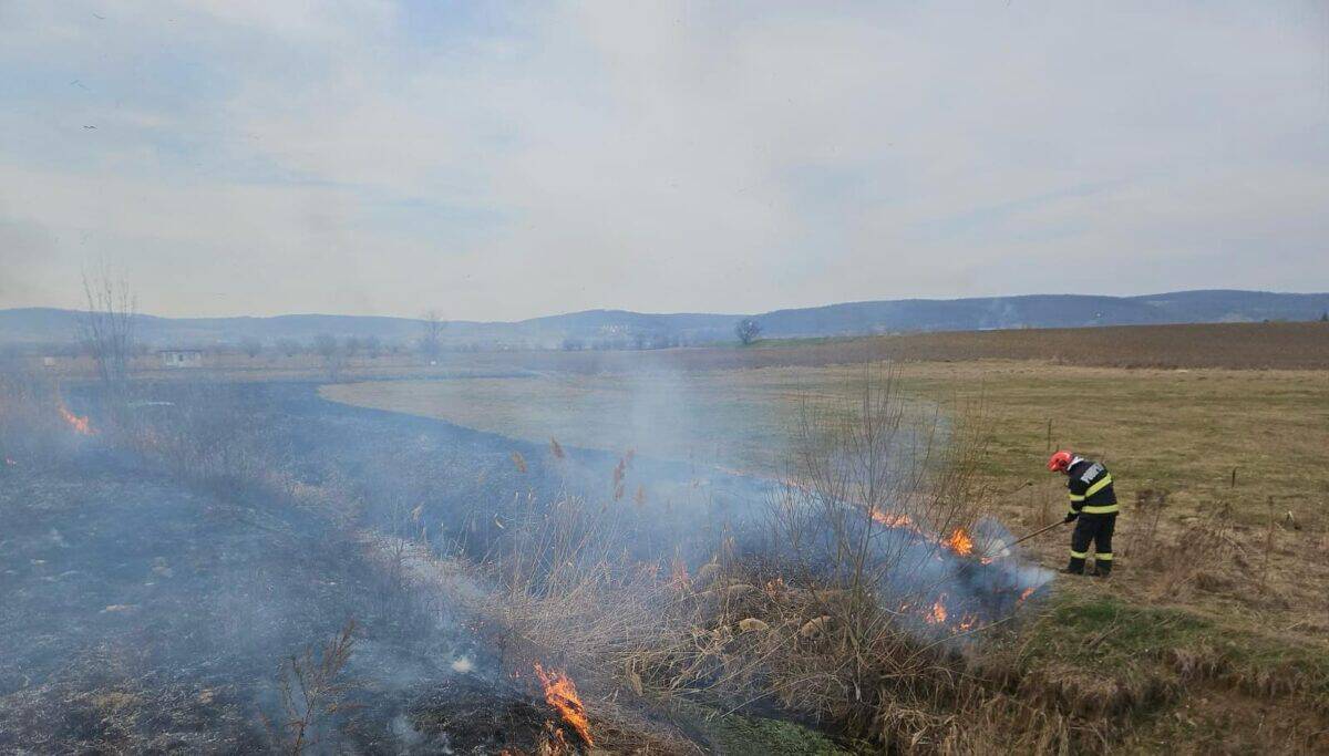 Peste 230 de hectare de teren afectate de incendii de vegetație. Cele mai multe la Copșa Mare, Șelimbăr și Ludoș (foto)