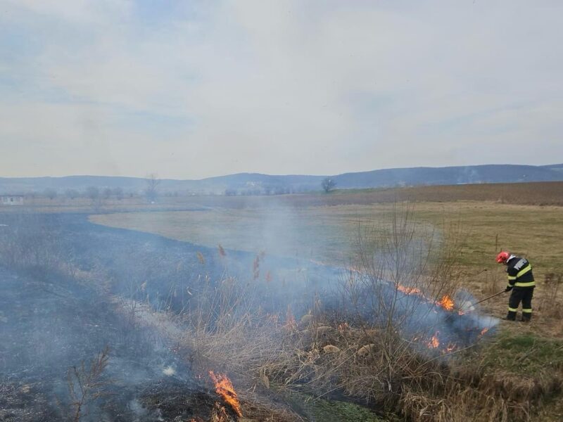 Peste 230 de hectare de teren afectate de incendii de vegetație. Cele mai multe la Copșa Mare, Șelimbăr și Ludoș (foto)