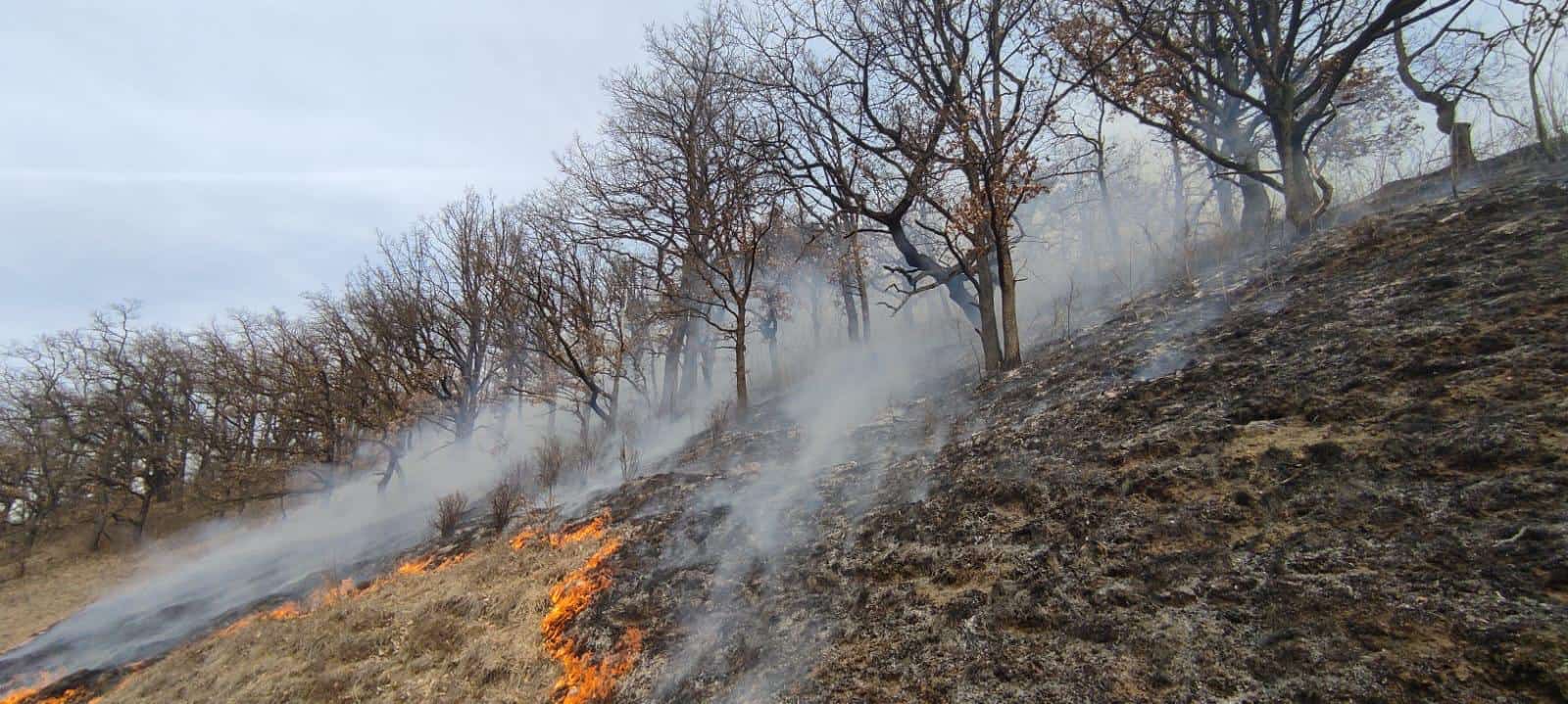 Peste 230 de hectare de teren afectate de incendii de vegetație. Cele mai multe la Copșa Mare, Șelimbăr și Ludoș (foto)