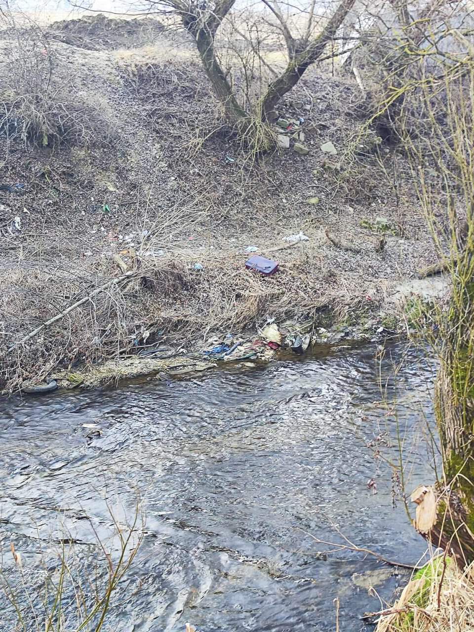 Poluare pe Cibin, la Sibiu. Zona în care râul s-a transformat într-o groapă de gunoi. Martor: ”E groaznic” (foto)