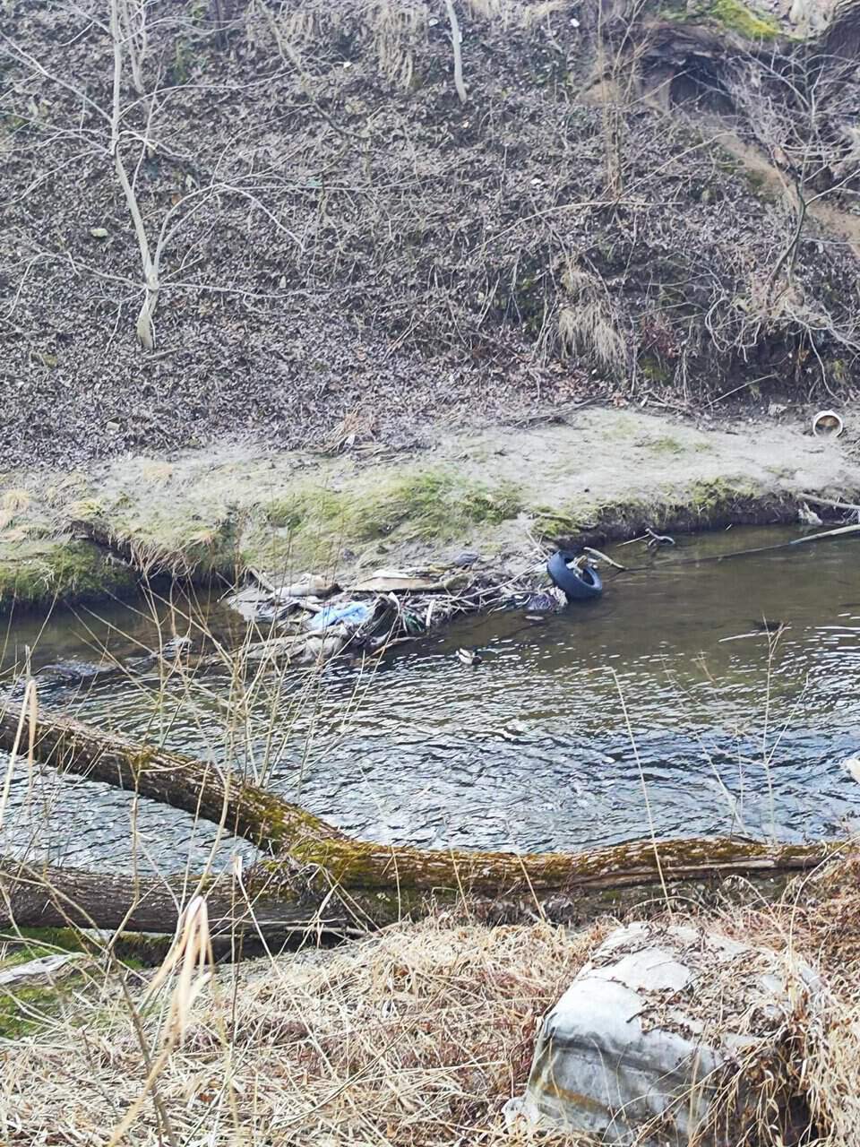 Poluare pe Cibin, la Sibiu. Zona în care râul s-a transformat într-o groapă de gunoi. Martor: ”E groaznic” (foto)