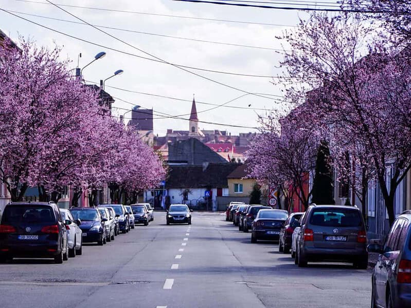 Vremea pe 4 săptămâni. Temperaturi peste media obișnuită