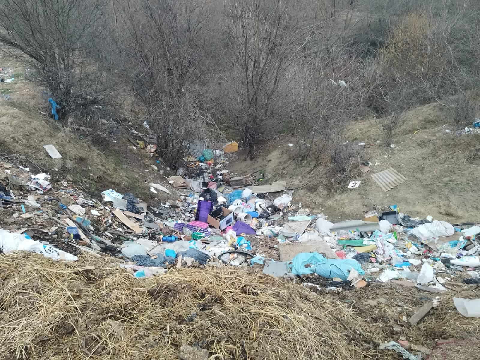 Primarul Mediașului bate obrazul nesimțiților care aruncă gunoaiele în locuri nepermise. ”Toți vom avea de suferit” (foto)