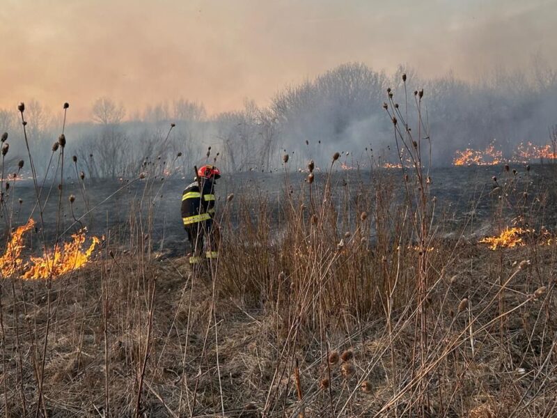 Zeci de incendii de vegetație în weekendul trecut în județ. Cele mai ample la Coveș, Racovița și Petiș (foto)