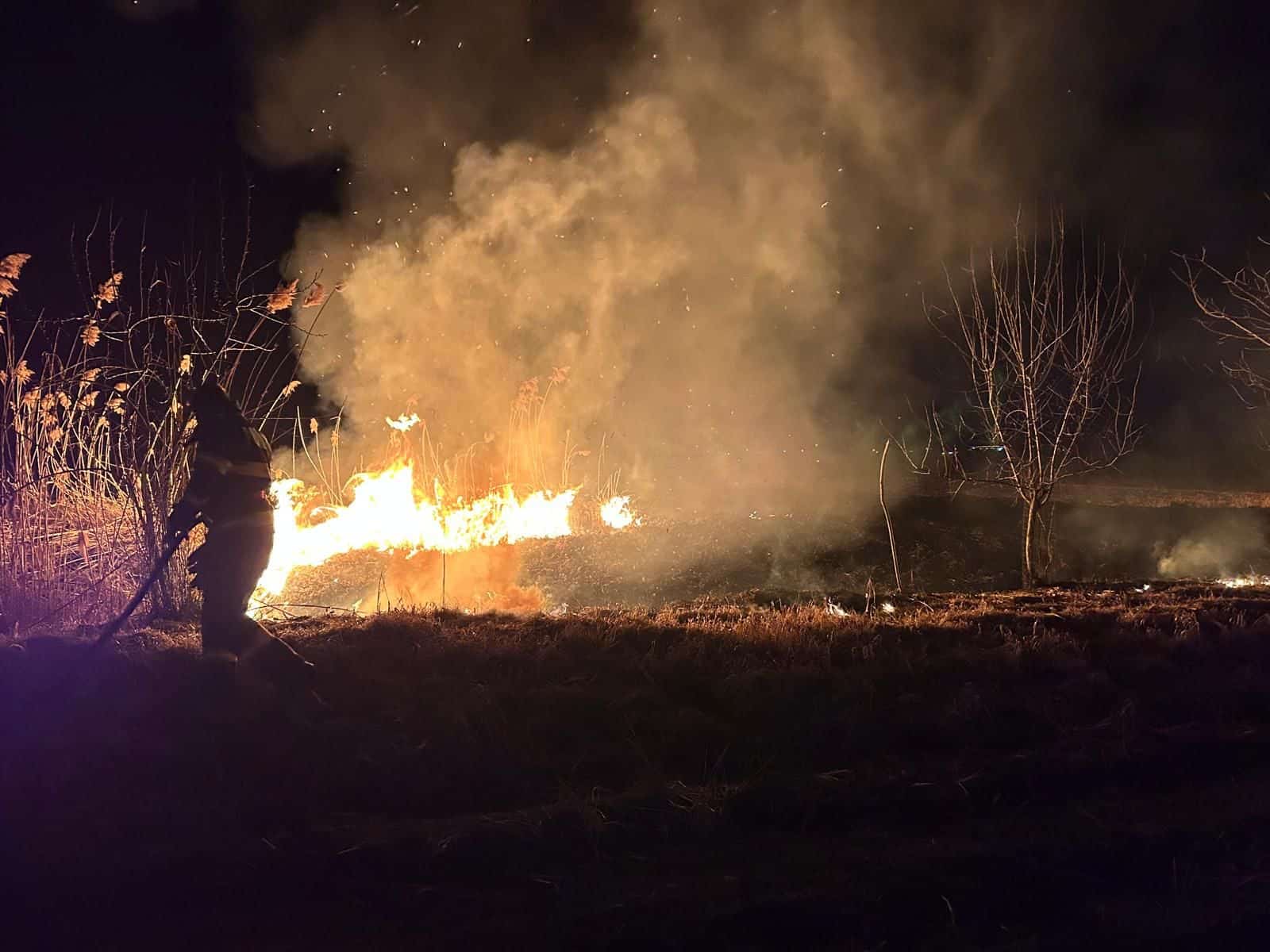 Zeci de incendii de vegetație în weekendul trecut în județ. Cele mai ample la Coveș, Racovița și Petiș (foto)