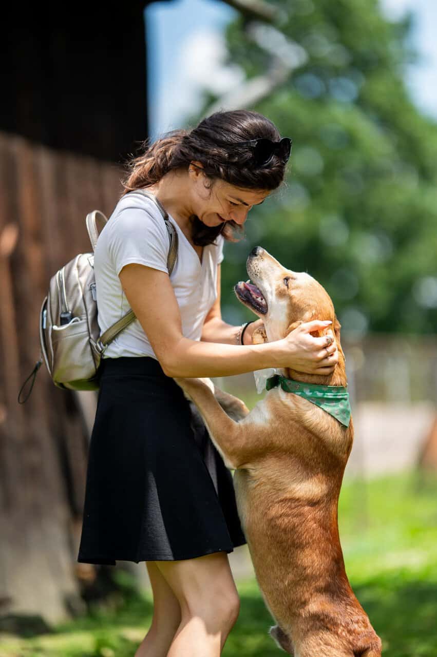 Poveștile celor nouă ”îngeri” ai necuvântoarelor din Sibiu. Fetele de la Animal Life salvează la propriu sute de vieți (foto)